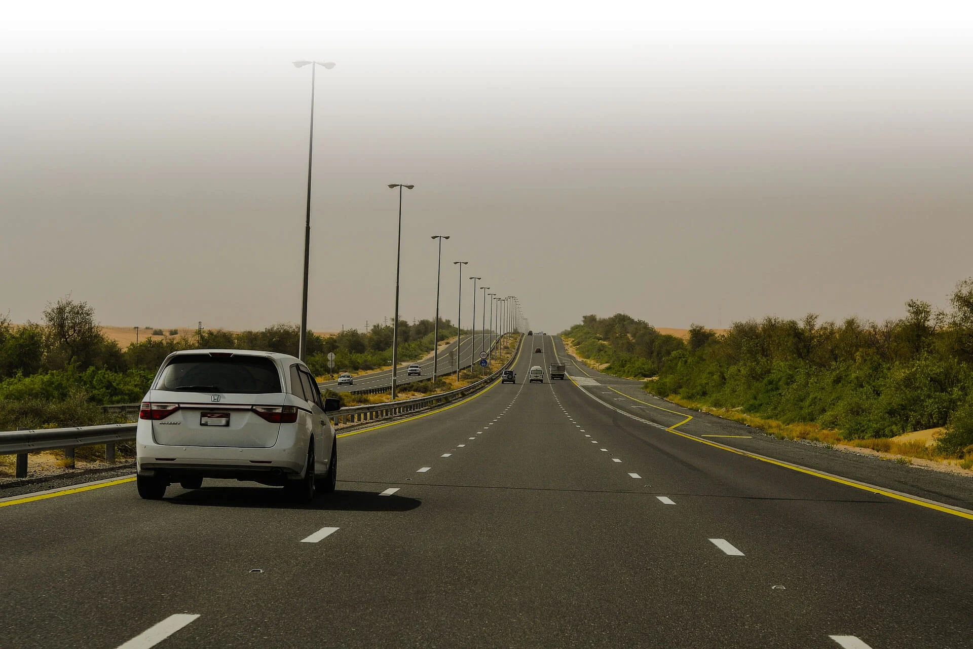 Passenger Transport Services